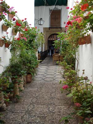 PATIOS CORDOBESES. 9449_los-patios%20Imagen%20total%20005
